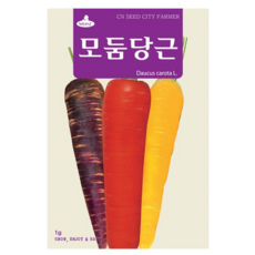 세인화분 모듬당근씨앗 1g 자색당근 빨강당근 노랑당근 혼합 모듬 당근 씨앗, 1개