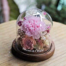 Bloom & Grace 永生花玻璃罩, 粉