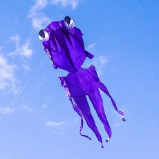 888玩具 888便利購 大眼金魚造型軟式風箏，附150米輪盤線，兒童戶外玩具, 1個, 全配組(附輪盤集線器+150米線),紅色