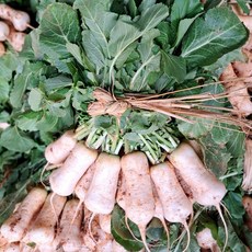 맛있는 황토 알타리무, 1박스, 3kg