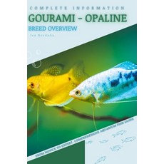 (영문도서) Gourami - Opaline: From Novice to Expert. Comprehensive Aquarium Fish Guide Paperback, Independently Published, English, 9798398292459