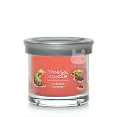 【Yankee Candle 揚基】香氛蠟燭-崖邊日出(4.3oz/122g)【兔雜tuzha】, 1個, 121g, 檸檬薰衣草