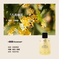 自動噴香機 300ml 大容量 室內擴香瓶 香氛噴霧機