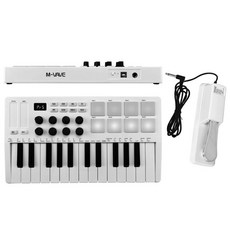 키 컨트롤 키보드 미니 휴대용 딜레이 페달 피아노, 1개, 1. with Delay Pedal, 기본