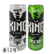 핫식스 더킹 포스 & 애플홀릭 에너지음료, 12개입, 355ml