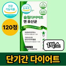 중년 뱃살 다이어트 유산균 체지방 감소 보조제 /12개구매시 리셋90 다이어트 정품 증정, 1박스, 120정