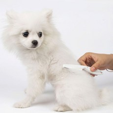 애견빗 참빗 눈꼽빗 눈물빗(소) 애완동물 벼룩빗, 없음