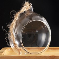 새온 테라리움유리볼 5p, 10cm