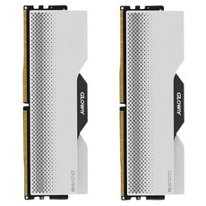 글로웨이 DDR5 용무 시리즈 A다이 듀얼사이드 히트싱크 데스크탑 메모리 실버 6000MHz C28 16GB 2개입, 1세트, GW6000N16G-SA2 1세트, GW6000N16G-SA2