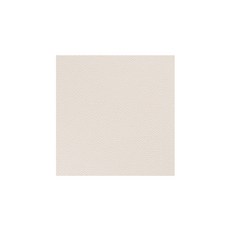 정재단가죽 10X10CM 모음, 08. 앱송, 아이보리