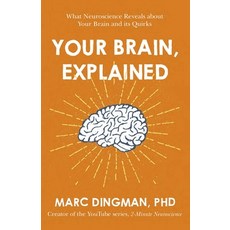 (영문도서)Your Brain Explained: What Neuroscience Reveals about Your Brain and Its Quirks Paperback, English, 9781473696563, John Murray Business English, 9781473696563, John Murray Business