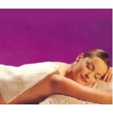 貝斯美德 腰背型／ㄇ型 電熱毯 熱敷墊 濕熱電毯, 14X27腰背型