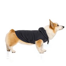 LIFELIKE 狗狗刺繡連帽衫 寵物服飾 保暖舒適 簡約設計 多種尺寸, CHARCOAL, 1個