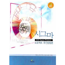6시그마 프로젝트 추진방법론, 글로벌, 주종문 등저