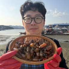 [물보라수산]남해안 원물 손질전 미더덕 500g 내외(횟감용) 손질후 200g내외 손질미더덕 회, 1개, 200g