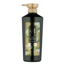 과일나라 채 지청 자양 샴푸액 520ml 어성초함유 탈모증상완화, 1개