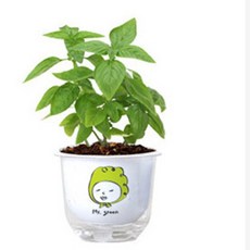 그린패밀리-마마의 허브(바질)/식물키트 화분 캐릭터패키지, 1개