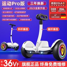 전동 밸런스 자전거 성인용 두발 입문 바이크, 36V화이트듀얼컨트롤/블루투스+8인치글레어휠