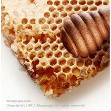 허니 (HoneyFragrance oil)프래그런스오일, 100ml, 1개