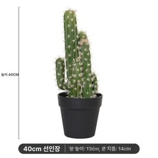 대형 선인장 모형 인테리어 식물 데코 110CM 개업선물 홈, 40cm 2인용 4기둥 선인장, 1개