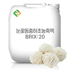 눈꽃동충하초농축액 20Brix 200g 샘플, 1개