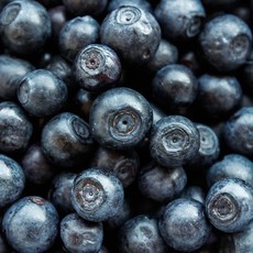 미국산 생 블루베리 신선과일, 4개, 125g