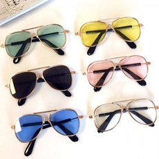 강아지 고글 펫선글라스 애견안경_ 20275423ea, 1-애완선글라스-투명