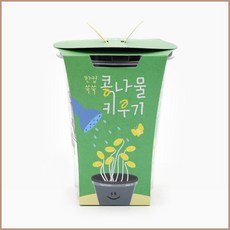 컵 콩나물 재배 세트 집밥 키우기 키트