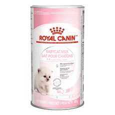 로얄캐닌 베이비캣 밀크 아기고양이 분유, 1개, 300g