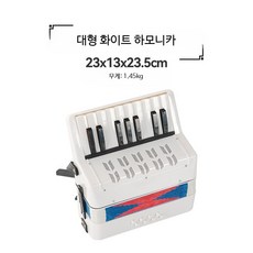 미니 아코디언 소형 프랑스 교육용 악기 17키 베이스, 1개, G_화이트 대형 하모니카, 단일 모델