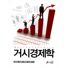 거시경제학, 지필미디어