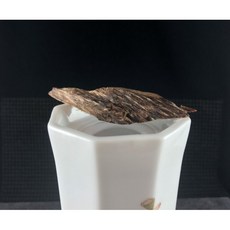 周錦香 沉水芽莊白奇楠 夢幻逸品 越南芽莊生結軟絲奇楠 3.18g 入水急沉 (白奇楠 水沉 薰香 香道 棋楠), 1個