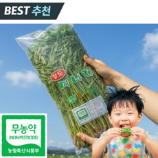 [품질보장] 무농약 청도 미나리 특품, 1kg, 1개