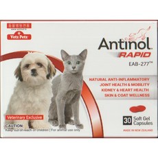 안티놀 래피드 30정 (강아지 고양이 관절영양제), 뼈/관절강화, 1개