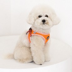 Real Pet 狗狗格紋輕薄胸背帶, Orange, 1個