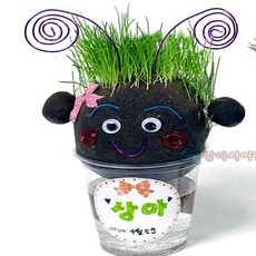 와이어로 꾸미는 1인 SA 잔디인형 과학만들기키트 과학실험키트 과학실험세트 과학만들기세트