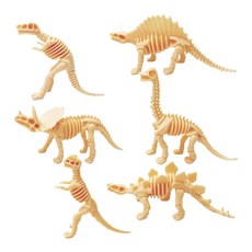 중등 교육기관 화석공부 공룡뼈 학습키트 6종 초등교구 실험키트 공룡모형 공룡학습, 5개