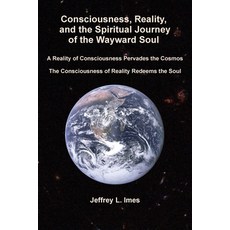 (영문도서)Consciousness Reality and the Spiritual Journey of the Wayward Soul Paperback, Jeffrey Imes, English, 9798993071626