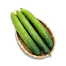 [예스팜오이] 산지직송 백다다기 오이 오이지오이 소박이오이 양주오이5kg, 1박스, 5kg