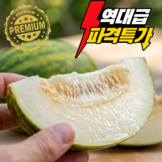 [시즌한정초특가] 품절대란 꿀당도 개구리참외 파파야메론, 1박스, 1kg