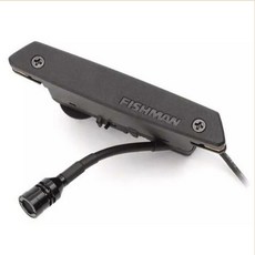 Fishman Rare Earth Mic Blend 雙系統木吉他拾音器 主動式音孔式