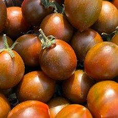 대저 흑 대추 방울 토마토 흑방울토마토 대저방울토마토 대저토마토 흑토마토, 1개, 500g