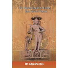 (영문도서) The Chausathi Yoginis of Hirapur: from Tantra to Tourism Paperback, Black Eagle Books, English, 9781645600121