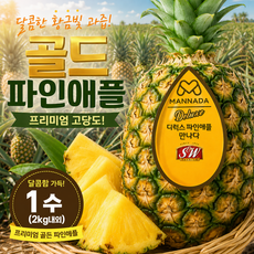 [특가판매] 헤드스톤 골드 파인애플, 1개, 2수(4kg내외)