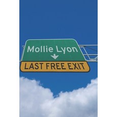 (영문도서) Last Free Exit second edition Paperback, Independently Published, English, 9798342051774