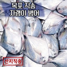 목포 국산 자랭이 병어 당일조업 산지직송 1kg(7미~10미) 2kg(14미~20미), 1개, 1kg(구이조림손질)