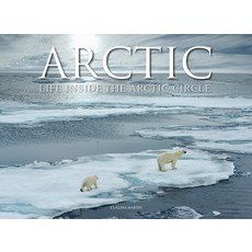 (영문도서) Arctic: Life Inside the Arctic Circle Hardcover, Amber Books, English, 9781838860479