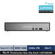 레노버 ThinkCentre neo 55q Gen6 13GTS00300 Win11 Pro, 2TB, 16GB, Raven black