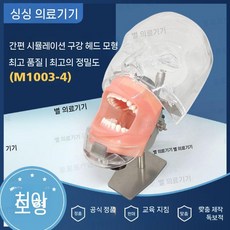 치과 실습 모형 치아 교육용 덴탈 교육재료 인체모형 인체, 3