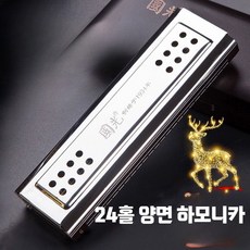 24홀 다이아포닉 하모니카 양면 이중 조율 휴대용 초보자 성인 전문 연주용 악기 케이스 포함, 1개, 24홀 복음 C조+G조, 단일 모델